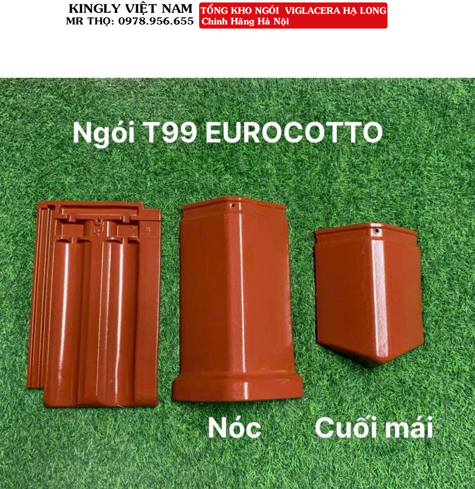 Ngói tráng men Viglacera Hạ long EURO COTTO T99 Loại A1